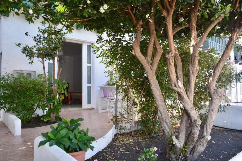 Playa Chica Apt With Terrace 100 M From The Sea Puerto del Carmen  Exterior foto